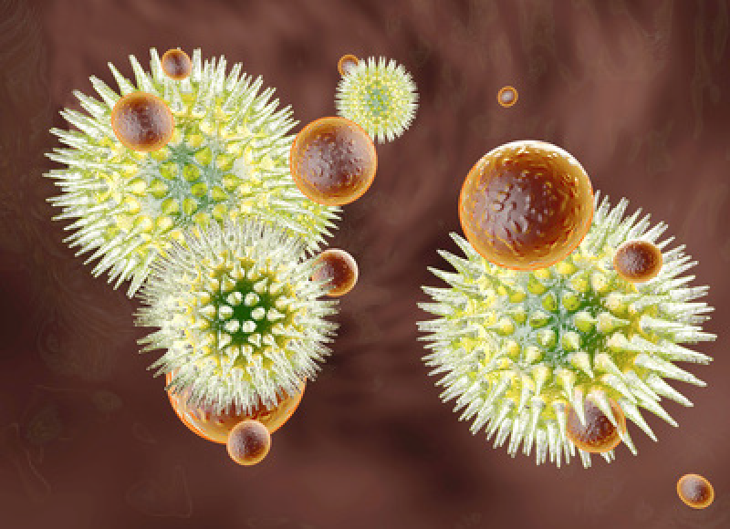 Ein Mitarbeiter War Im Urlaub Und Alles Was Er Mitgebracht Hat War Diese Doofe Hepatitis-A-Infektion